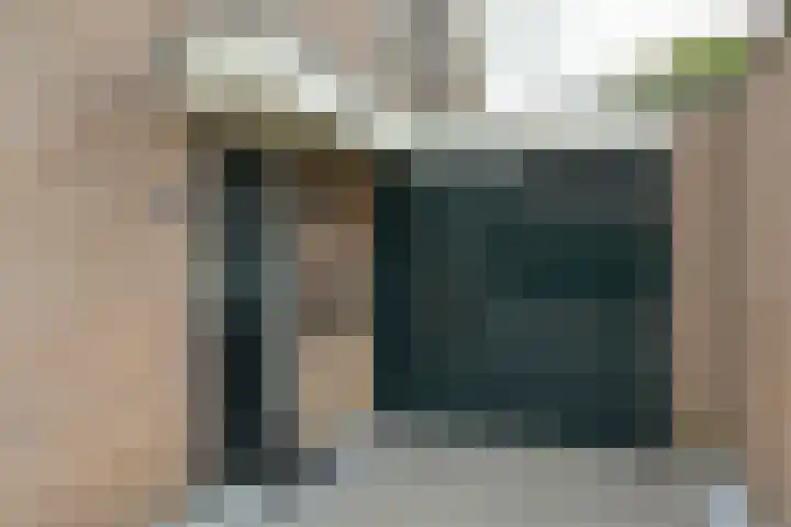 Scholekster 7 Mijdrecht thumbnail 35