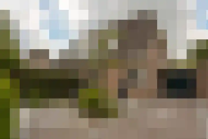 Scholekster 7 Mijdrecht thumbnail 36