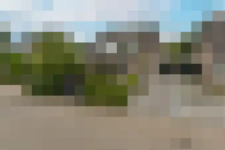 Scholekster 7 Mijdrecht thumbnail 37