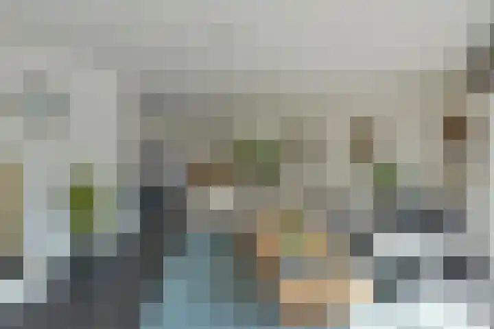 Scholekster 7 Mijdrecht thumbnail 5