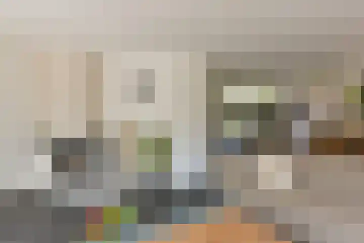 Scholekster 7 Mijdrecht thumbnail 6