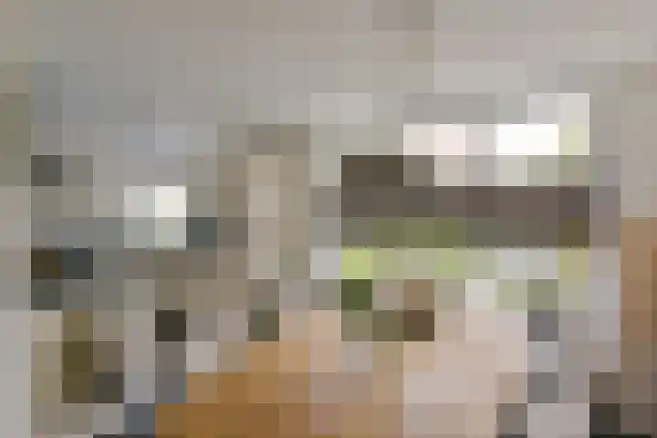 Scholekster 7 Mijdrecht thumbnail 8