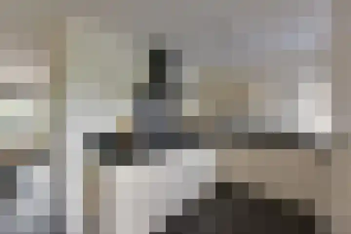 Scholekster 7 Mijdrecht thumbnail 9