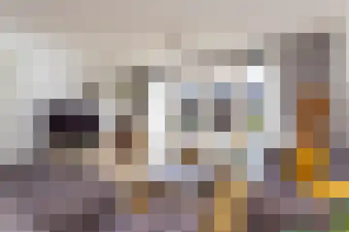Scholekster 9 Hoogkarspel thumbnail 10