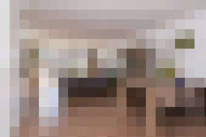 Scholekster 9 Hoogkarspel thumbnail 11