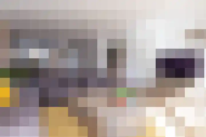 Scholekster 9 Hoogkarspel thumbnail 12