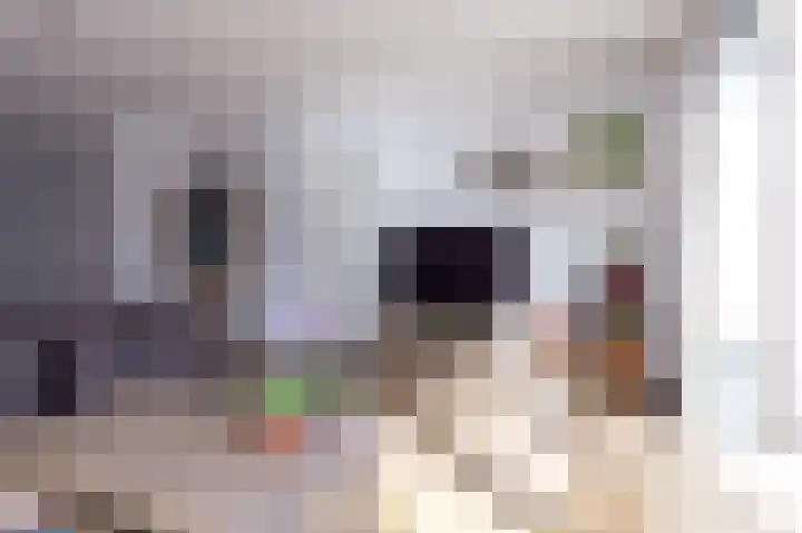 Scholekster 9 Hoogkarspel thumbnail 14