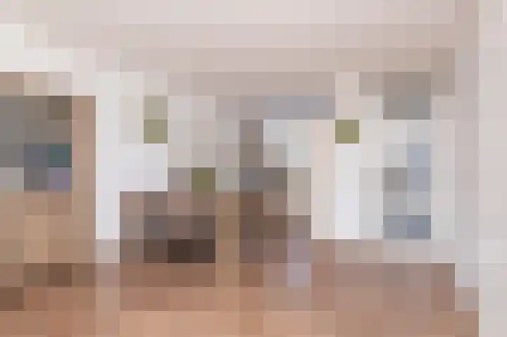Scholekster 9 Hoogkarspel thumbnail 16