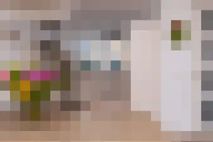 Scholekster 9 Hoogkarspel thumbnail 17