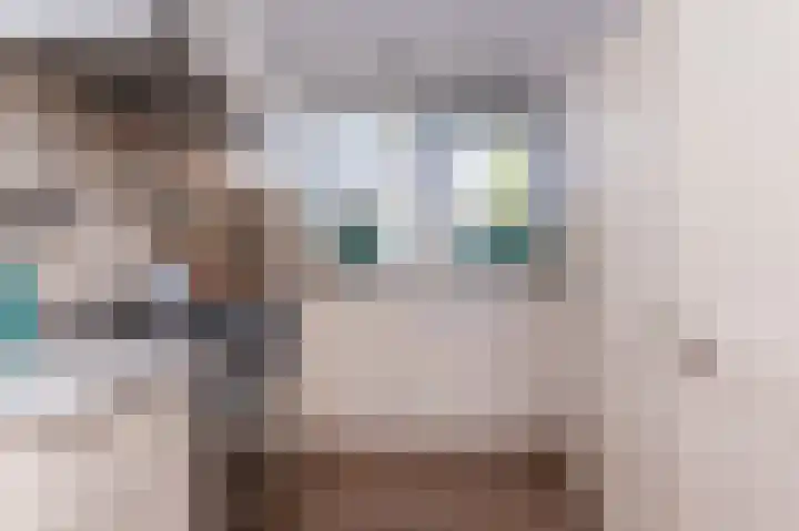 Scholekster 9 Hoogkarspel thumbnail 18
