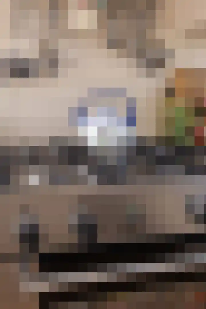Scholekster 9 Hoogkarspel thumbnail 19