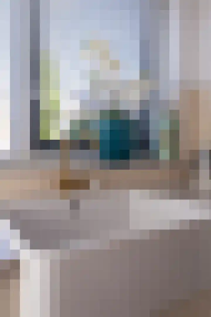 Scholekster 9 Hoogkarspel thumbnail 20