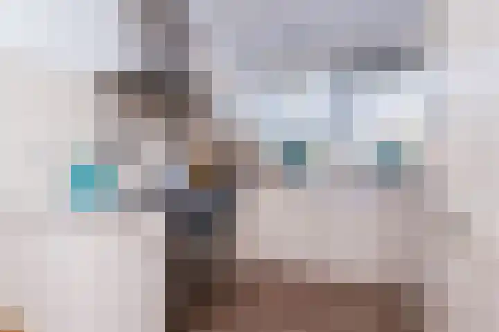 Scholekster 9 Hoogkarspel thumbnail 21