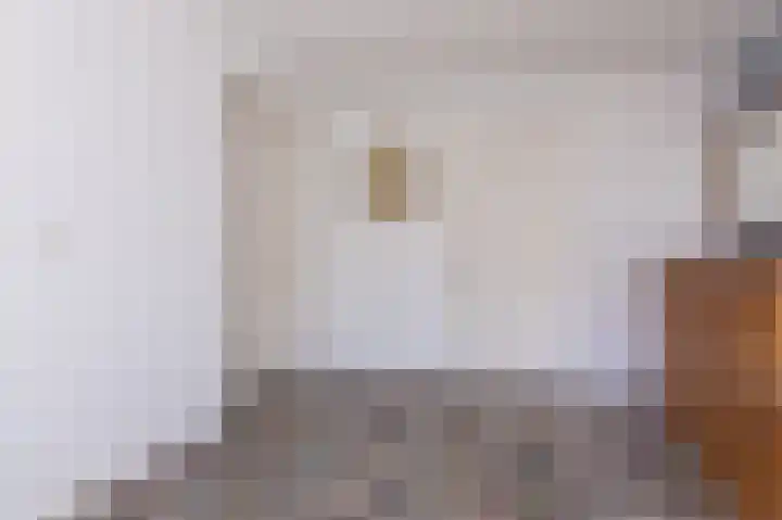 Scholekster 9 Hoogkarspel thumbnail 24