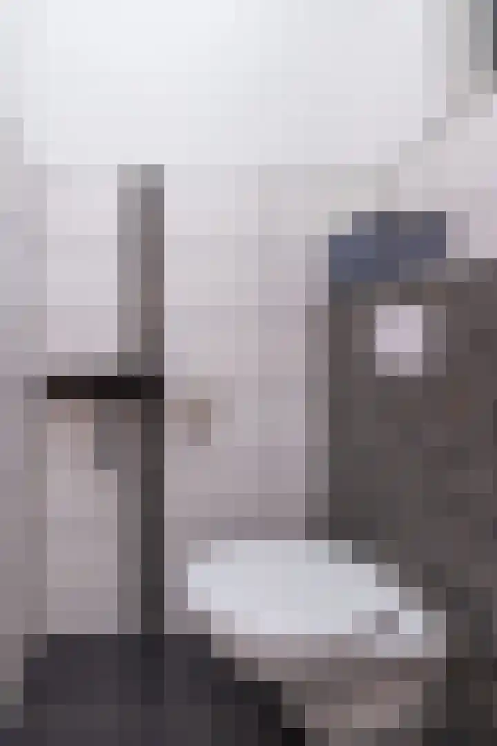Scholekster 9 Hoogkarspel thumbnail 26