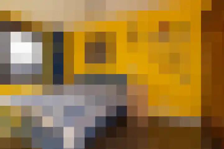 Scholekster 9 Hoogkarspel thumbnail 28