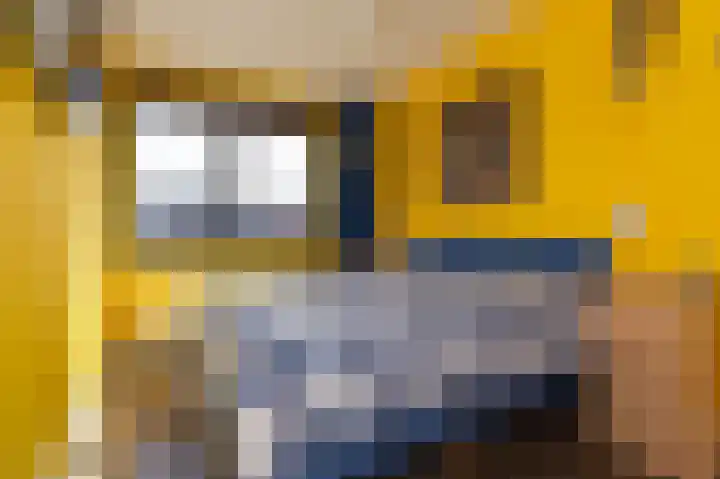Scholekster 9 Hoogkarspel thumbnail 29