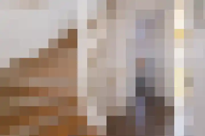 Scholekster 9 Hoogkarspel thumbnail 39
