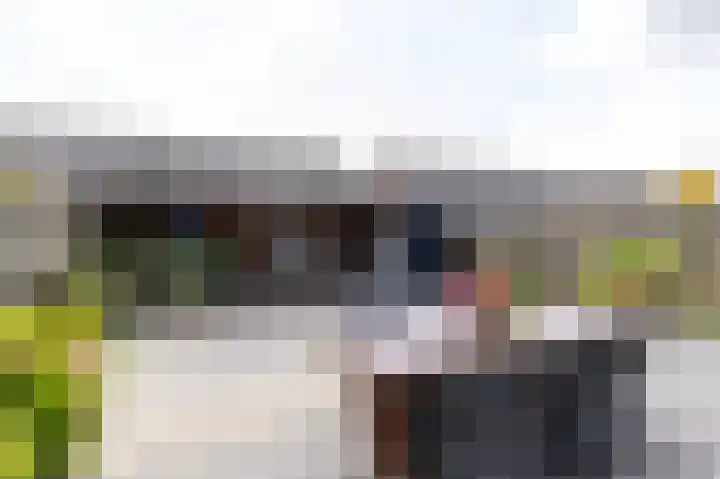 Scholekster 9 Hoogkarspel thumbnail 4
