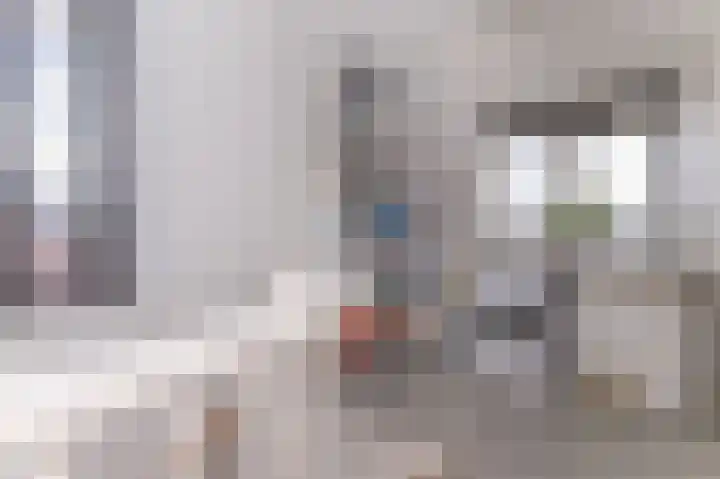 Scholekster 9 Hoogkarspel thumbnail 40