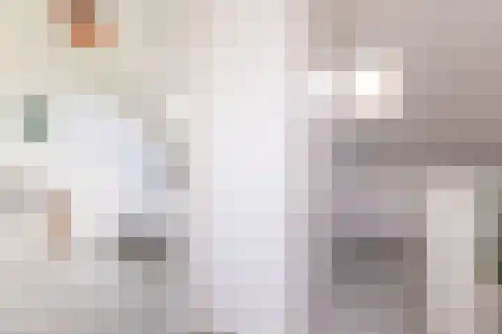 Scholekster 9 Hoogkarspel thumbnail 41