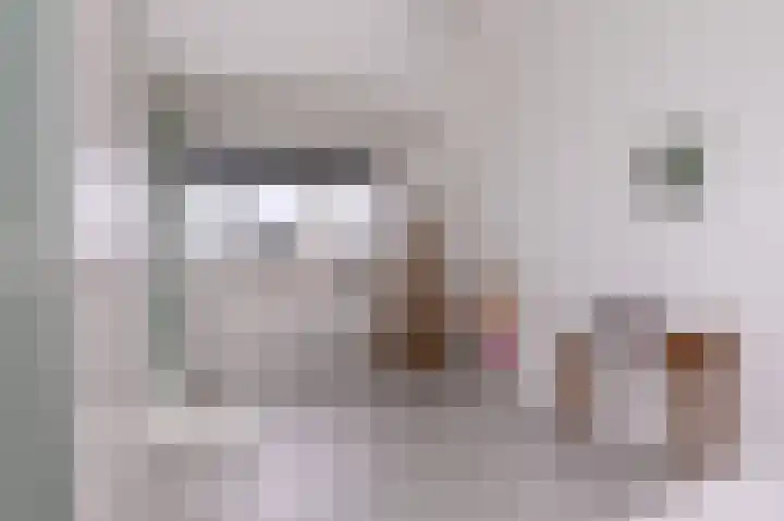 Scholekster 9 Hoogkarspel thumbnail 42