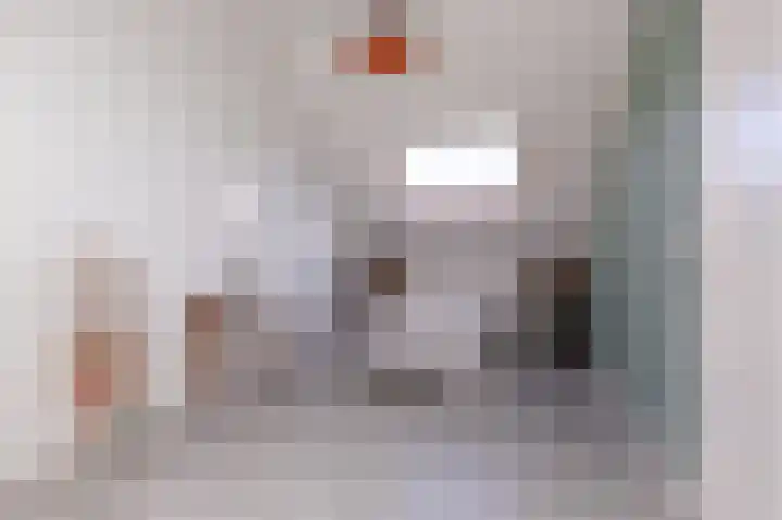 Scholekster 9 Hoogkarspel thumbnail 43