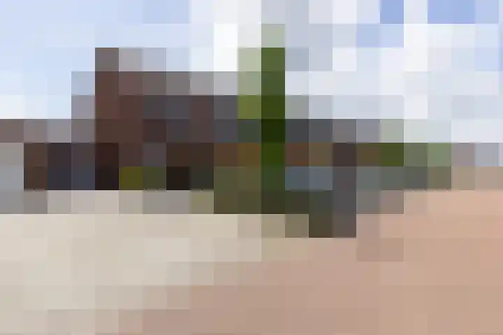 Scholekster 9 Hoogkarspel thumbnail 45