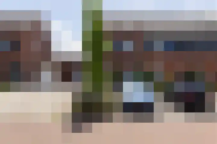 Scholekster 9 Hoogkarspel thumbnail 46