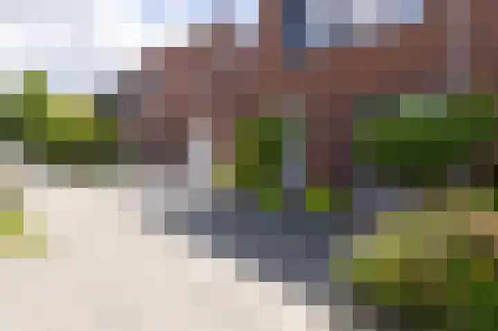 Scholekster 9 Hoogkarspel thumbnail 48