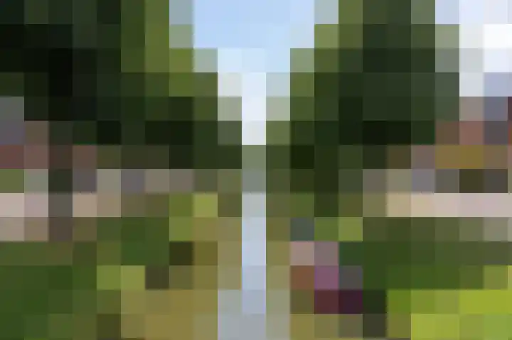 Scholekster 9 Hoogkarspel thumbnail 49