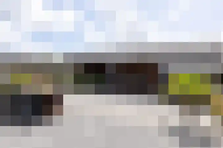Scholekster 9 Hoogkarspel thumbnail 5