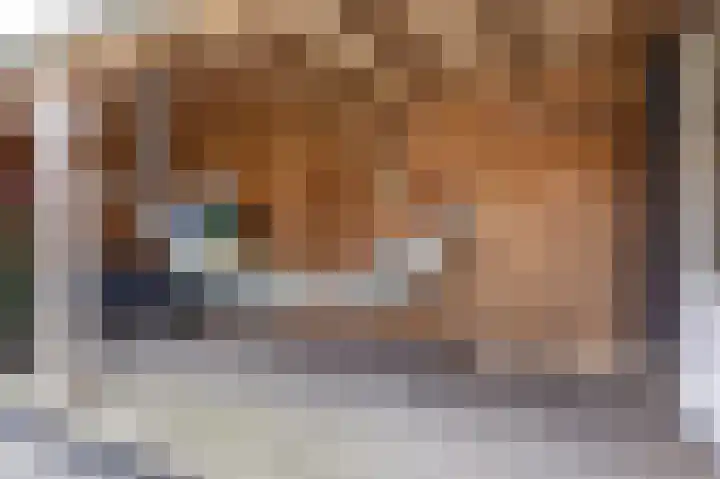 Scholekster 9 Hoogkarspel thumbnail 6