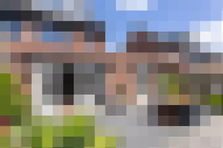 Scholekster 9 Hoogkarspel thumbnail 7