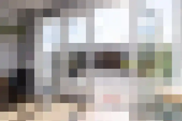 Scholekster 9 Hoogkarspel thumbnail 8