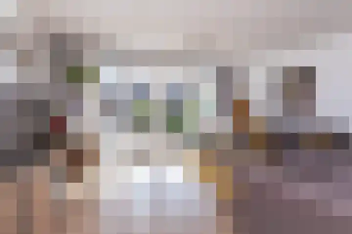 Scholekster 9 Hoogkarspel thumbnail 9
