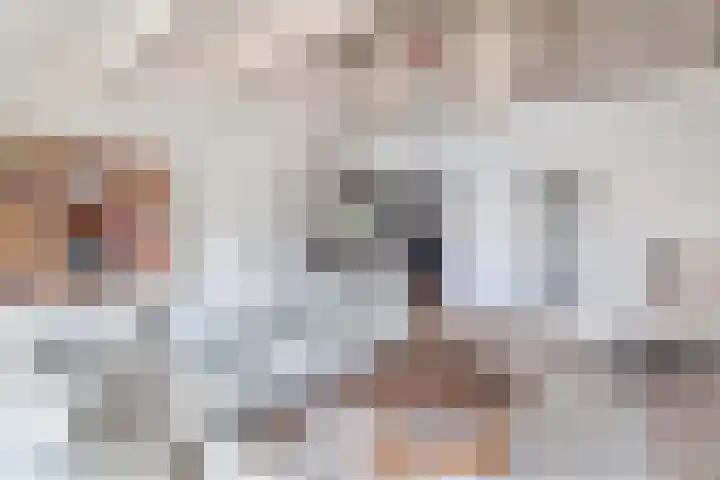 Scholekster 9 Lemmer thumbnail 10