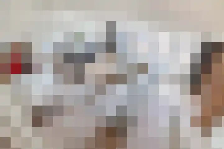 Scholekster 9 Lemmer thumbnail 11