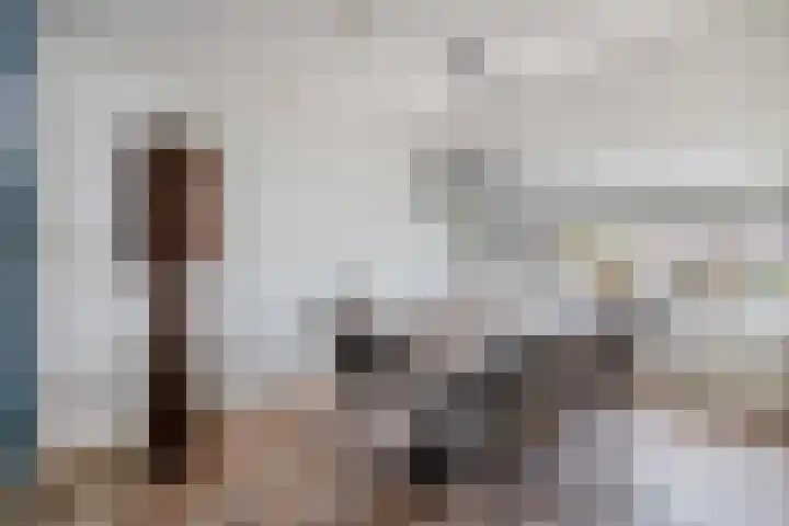 Scholekster 9 Lemmer thumbnail 12