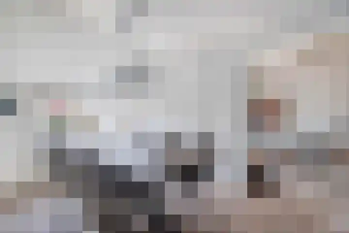 Scholekster 9 Lemmer thumbnail 13