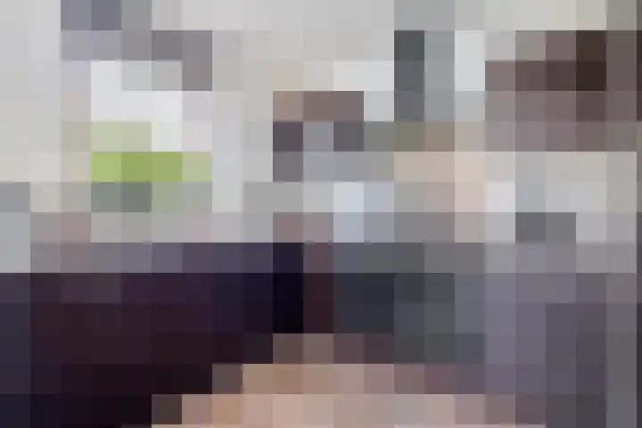 Scholekster 9 Lemmer thumbnail 15