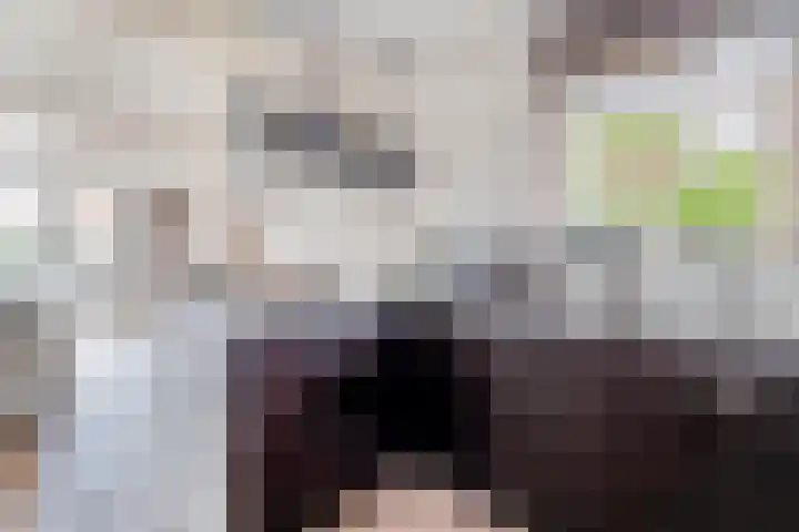 Scholekster 9 Lemmer thumbnail 16
