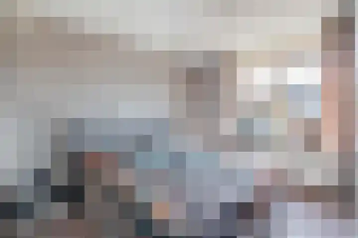 Scholekster 9 Lemmer thumbnail 19