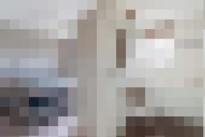 Scholekster 9 Lemmer thumbnail 21