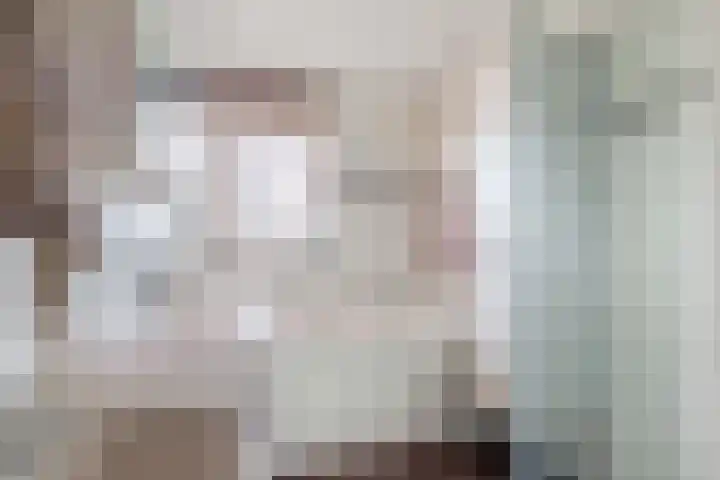 Scholekster 9 Lemmer thumbnail 22