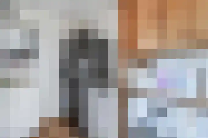 Scholekster 9 Lemmer thumbnail 24