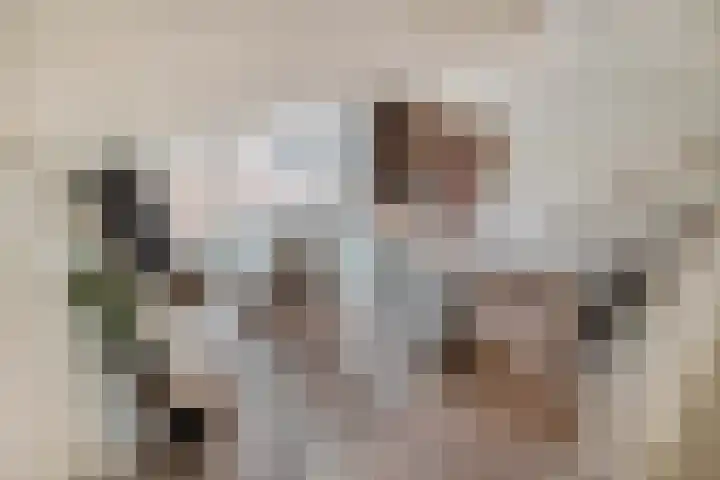 Scholekster 9 Lemmer thumbnail 25
