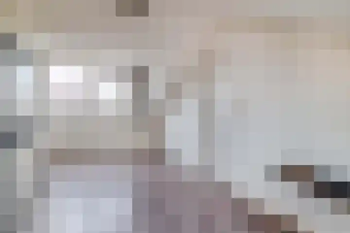 Scholekster 9 Lemmer thumbnail 28