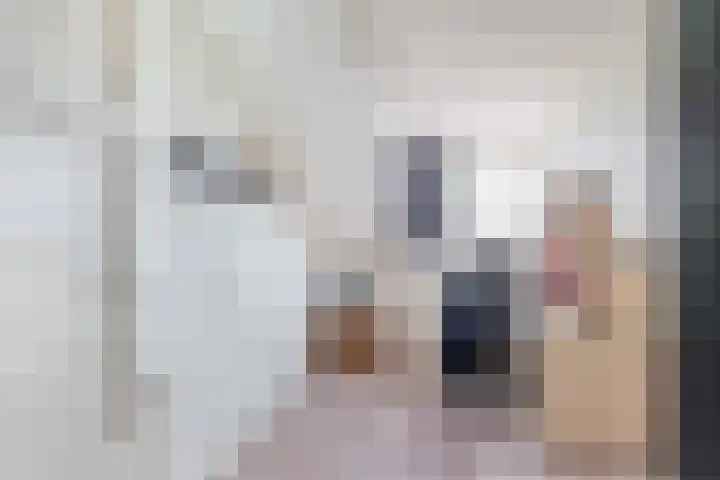 Scholekster 9 Lemmer thumbnail 29