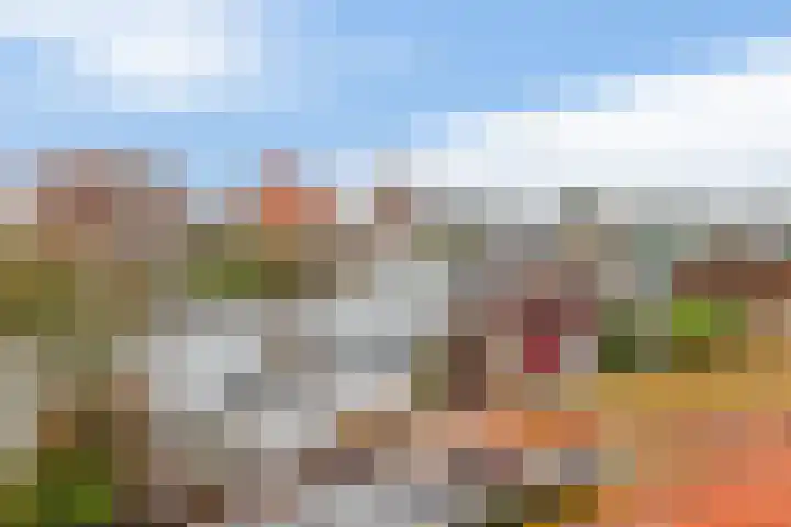 Scholekster 9 Lemmer thumbnail 30
